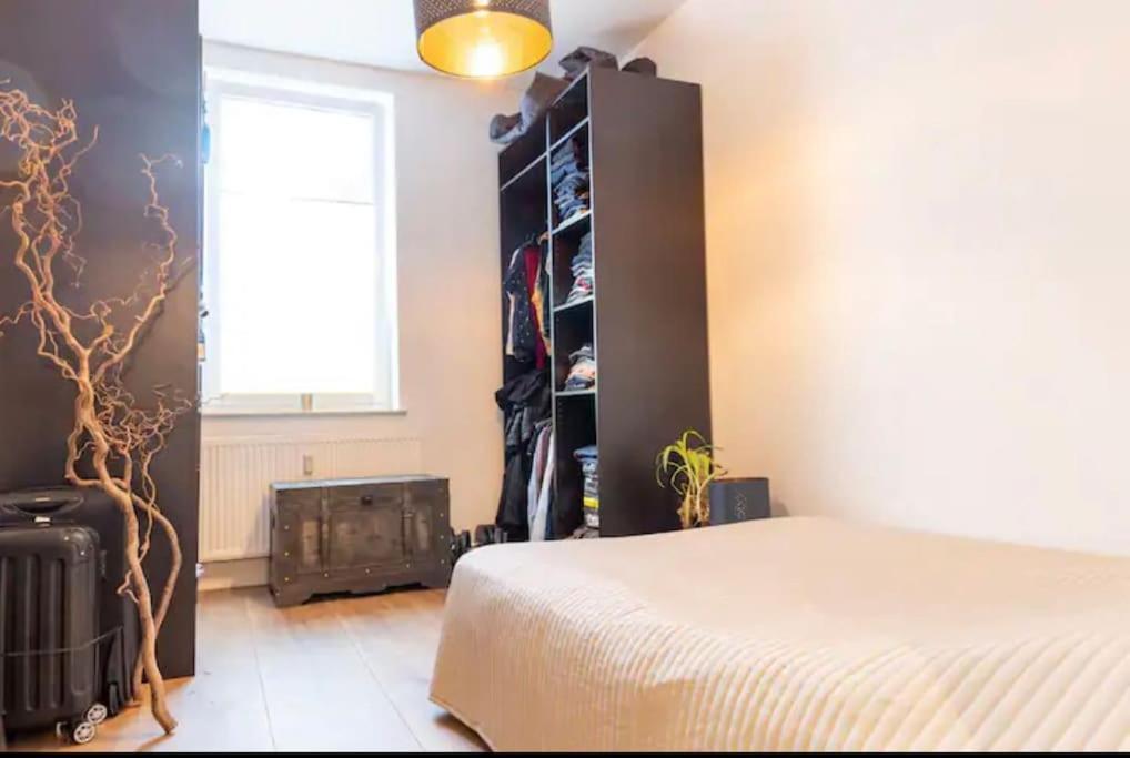Design Apartment Im Zentrum Von Nienburg! Nienburg  Esterno foto
